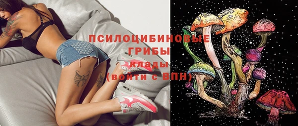 прущая мука Аркадак